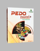 PEDO NUTRI+